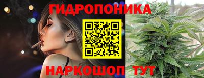 ГАЛЛЮЦИНОГЕННЫЕ ГРИБЫ Сланцы