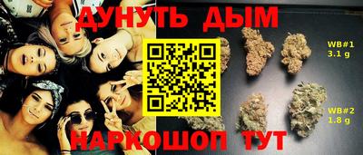 apvp Славгород